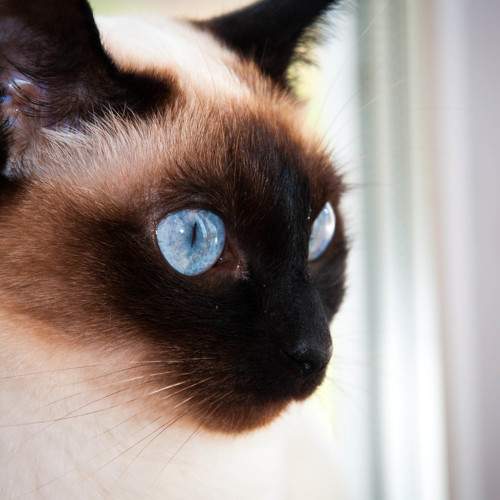 Photo #7532474