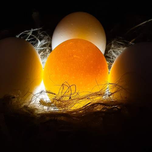 Conceptual photo