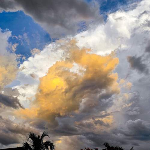 Photo #7532743