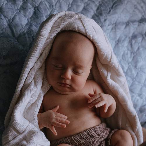 Photo #7532917