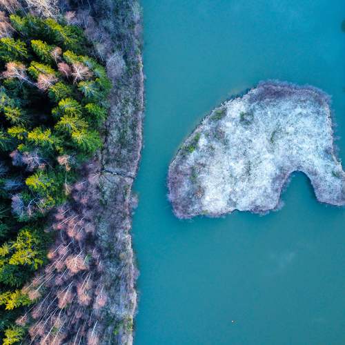 Photo #7532989