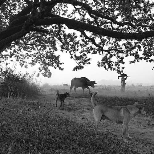 Фотография #7533214