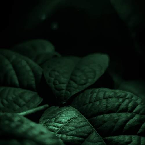 Photo #7533323