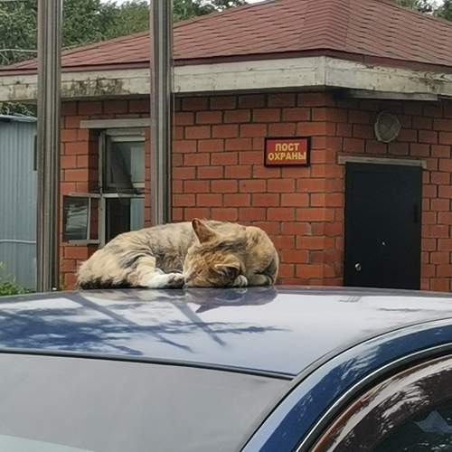 Пост охраны