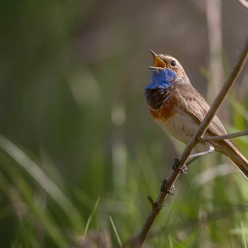 Фотография #7533569