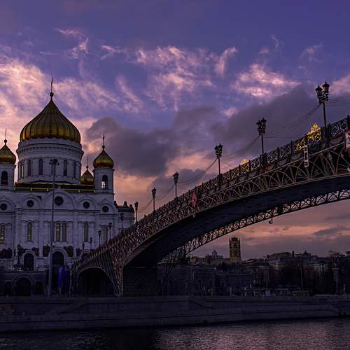 Photo #7533702