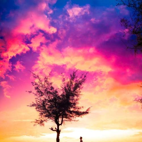Photo #7533774
