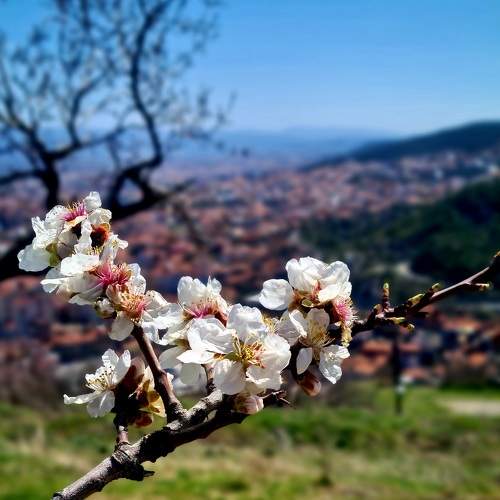 Photo #7533824