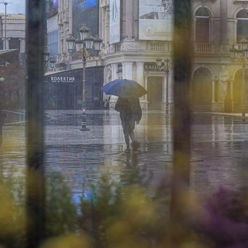 Photo #7534418