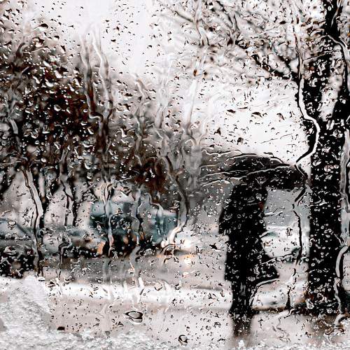 Photo #7534428