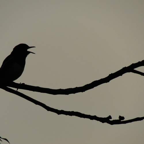 Photo #7534443
