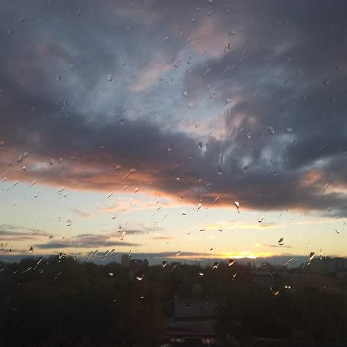 Photo #7534604
