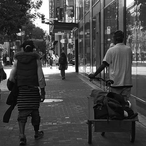 Photo #7534691