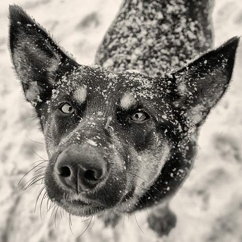 Photo #7535022