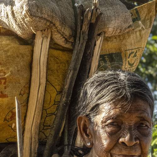 Photo #7535091