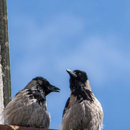 Photo #7535282