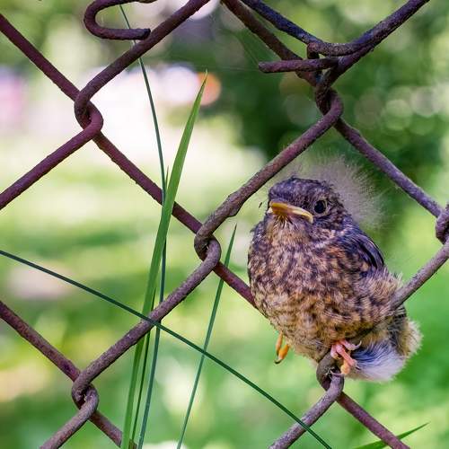 Photo #7535288