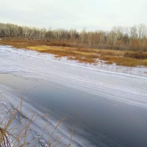 Photo #7535386