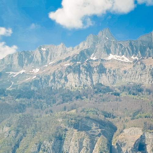 Photo #7535412