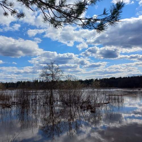 Photo #7535423