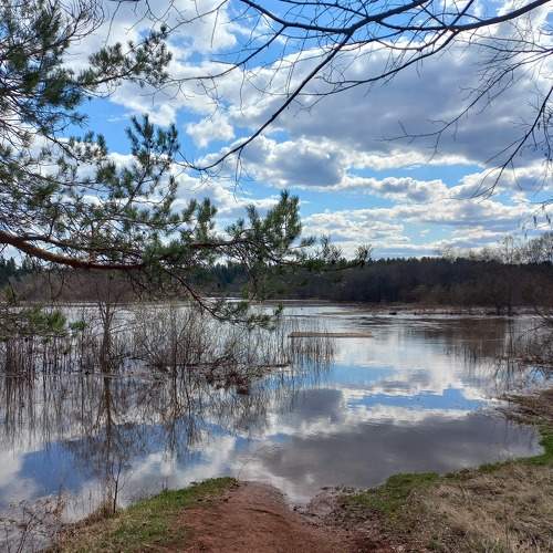 Photo #7535424