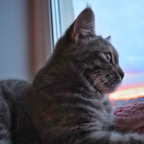 Photo #7535441