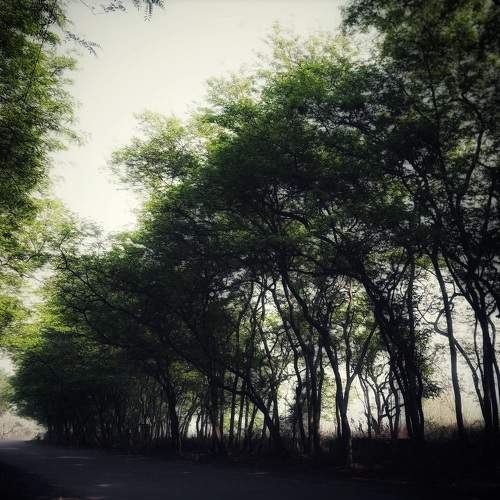 Photo #7535766