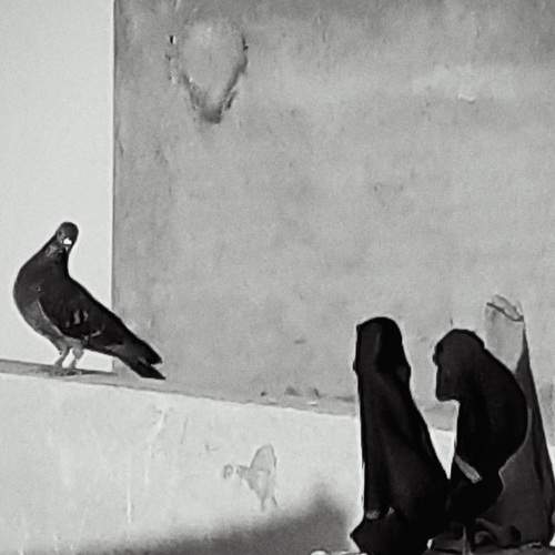 Photo #7535775