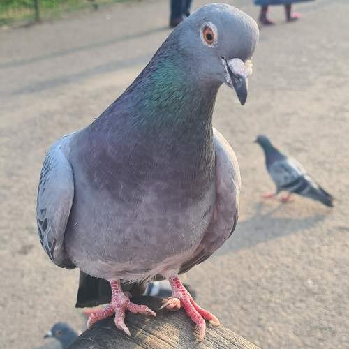 Photo #7536412