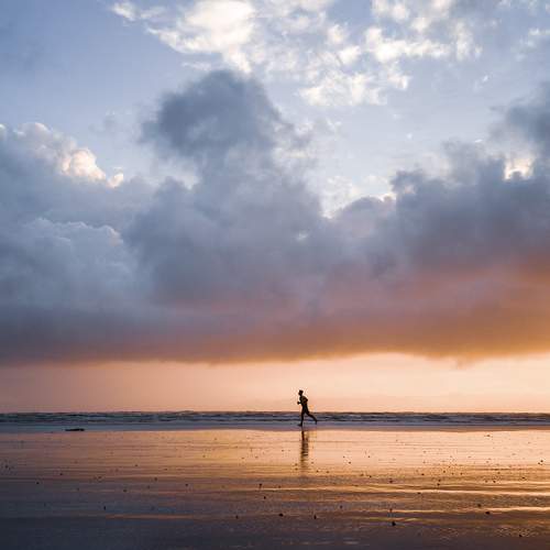Photo #7536716