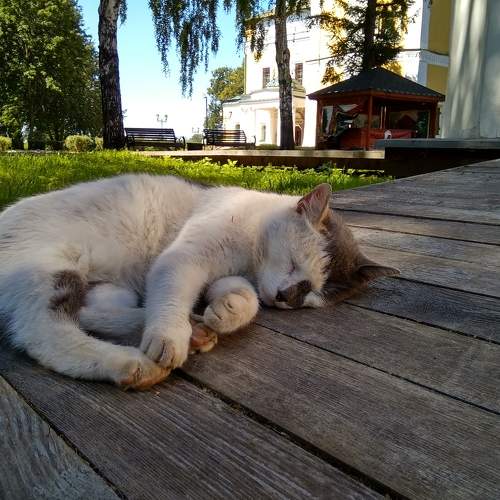 Photo #7536812