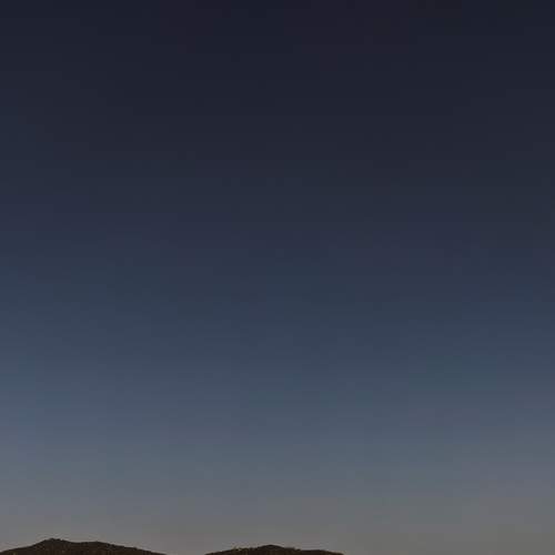 Photo #7537470