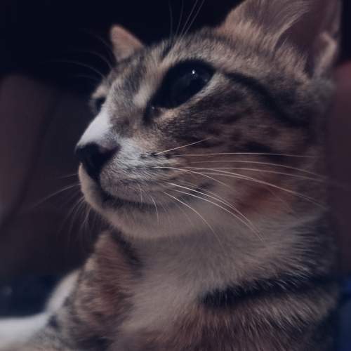 Photo #7537664