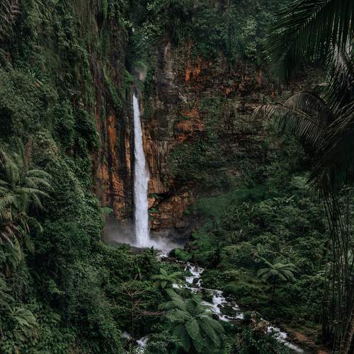 Photo #7538001