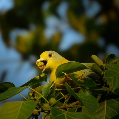 Photo #7538061