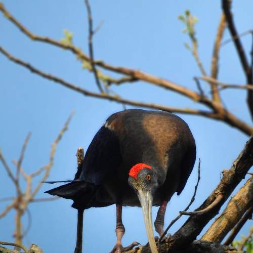 Photo #7538074