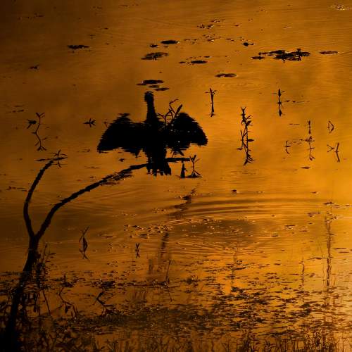 Photo #7538084