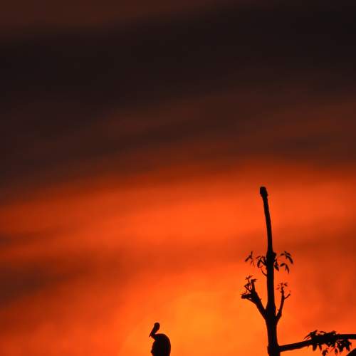 Photo #7538100