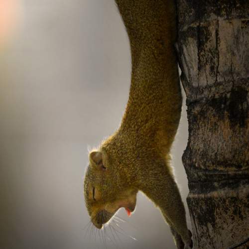 Photo #7538133
