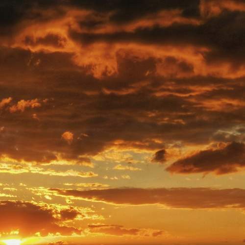 Photo #7538138