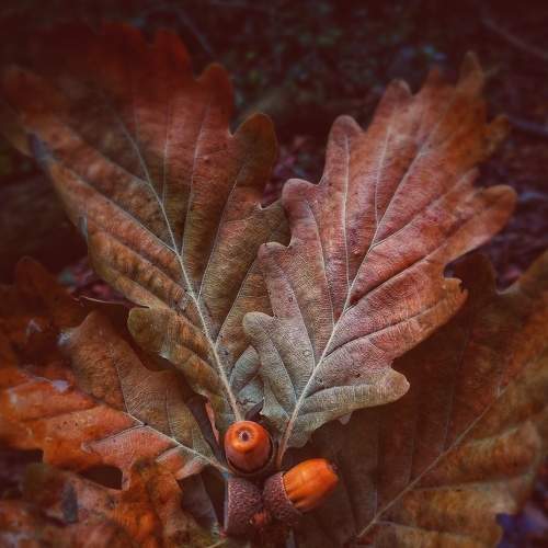 Photo #7538139