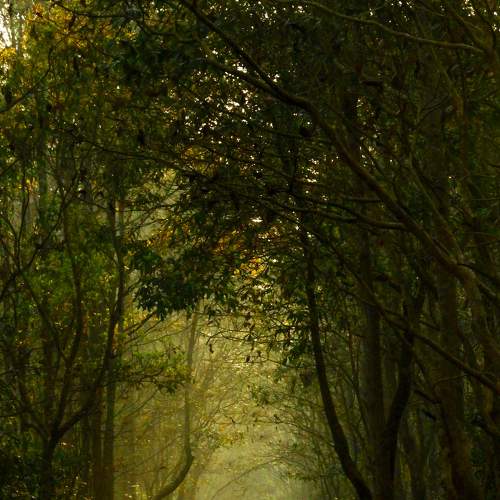 Photo #7538152