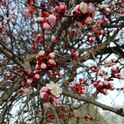 Photo #7538180