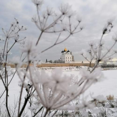 Photo #7538182