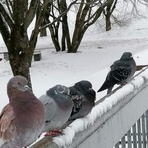 Photo #7538191