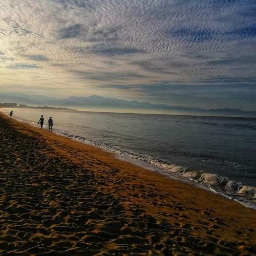 Photo #7538302