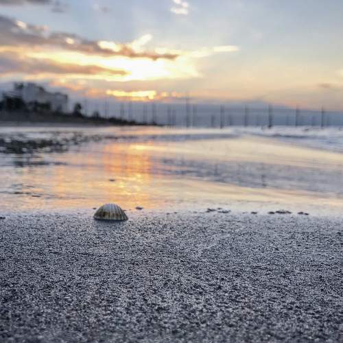 Photo #7538546