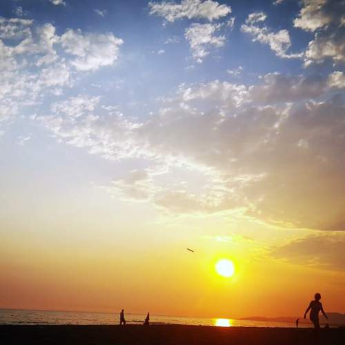 Photo #7538734