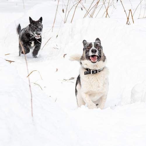 Фотография #7538765