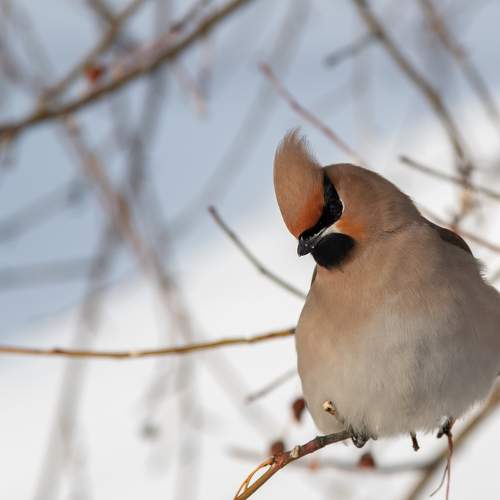 Фотография #7538772